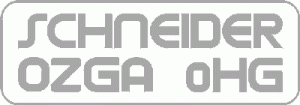 Logo_SO_grau_klein